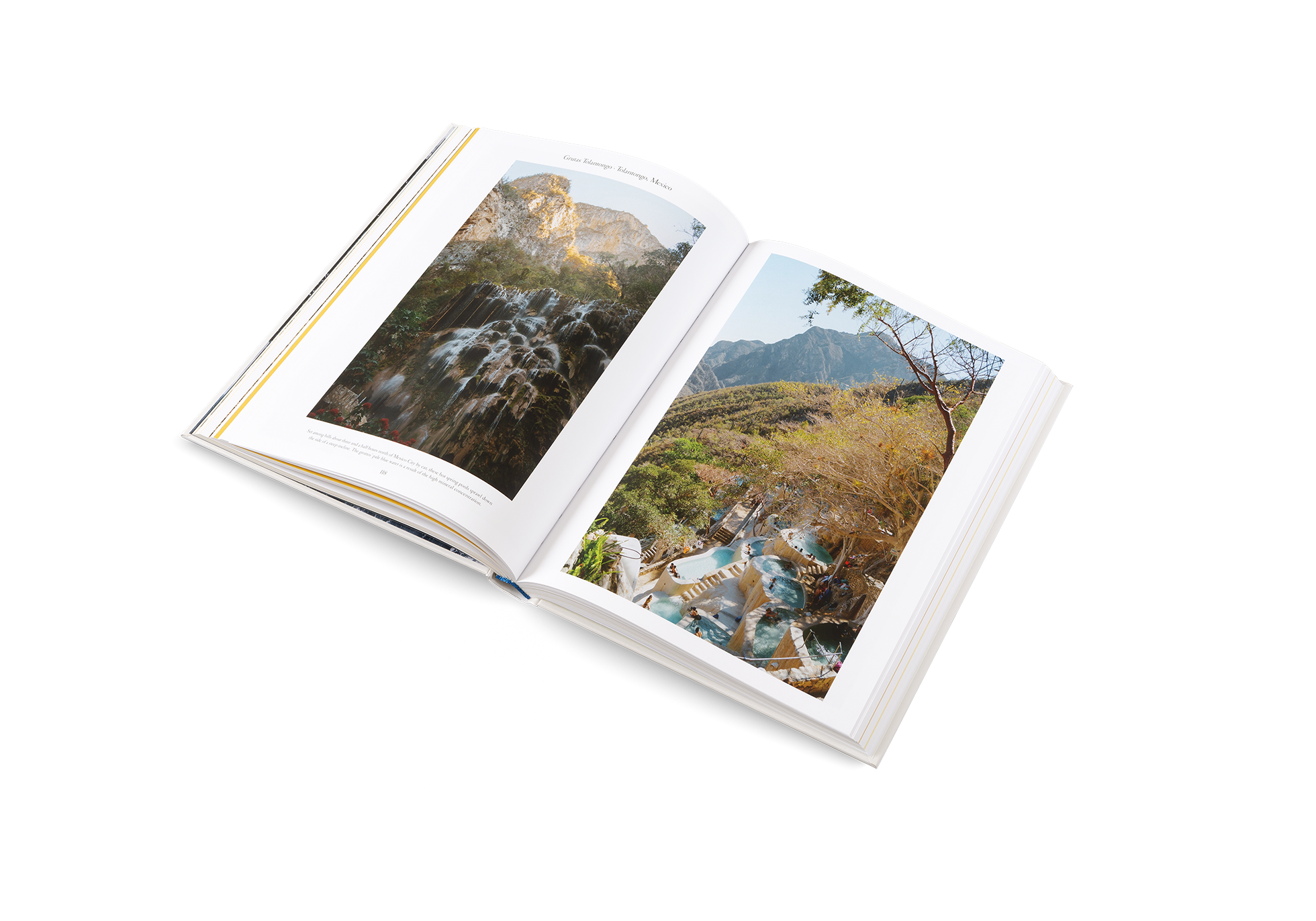 gestalten & teNeues - Wholesale Display Book - The Nature of Swimming7