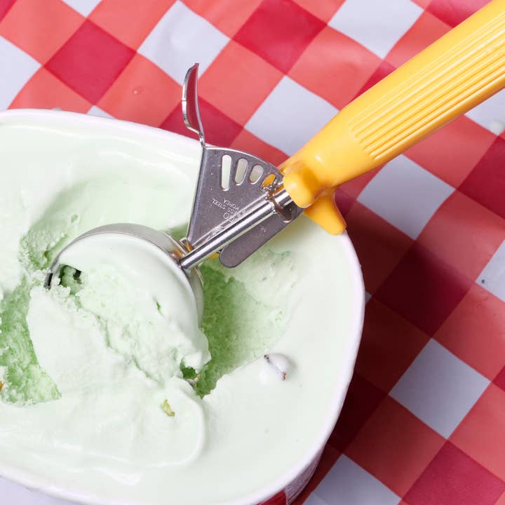 EcoQuality - Wholesale Ice-cream scoop - Stainless Steel Ice Cream Scoop with Trigger Lever1