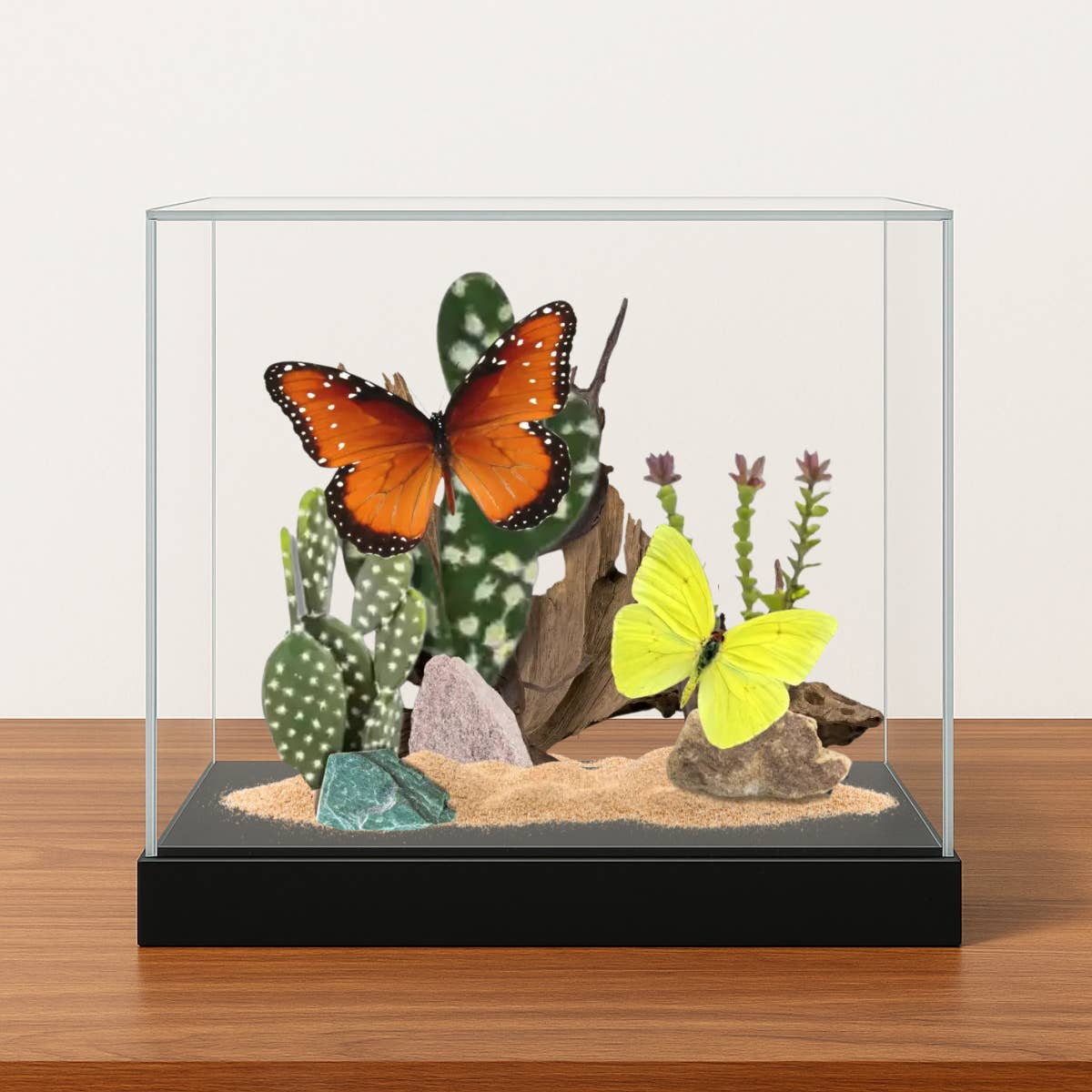 Instar Innovations - Wholesale Decorative tabletop object - Real Desert Butterfly Diorama USA - 6x8x6 in #2 Monarch