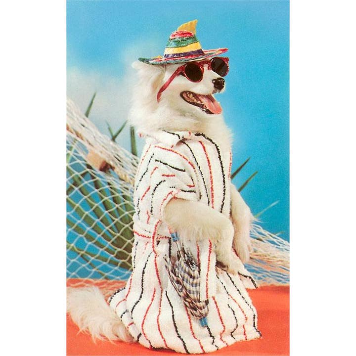 Sticker DG-159 Silly Dog in Beach Gear for wholesale by Found Image Press
