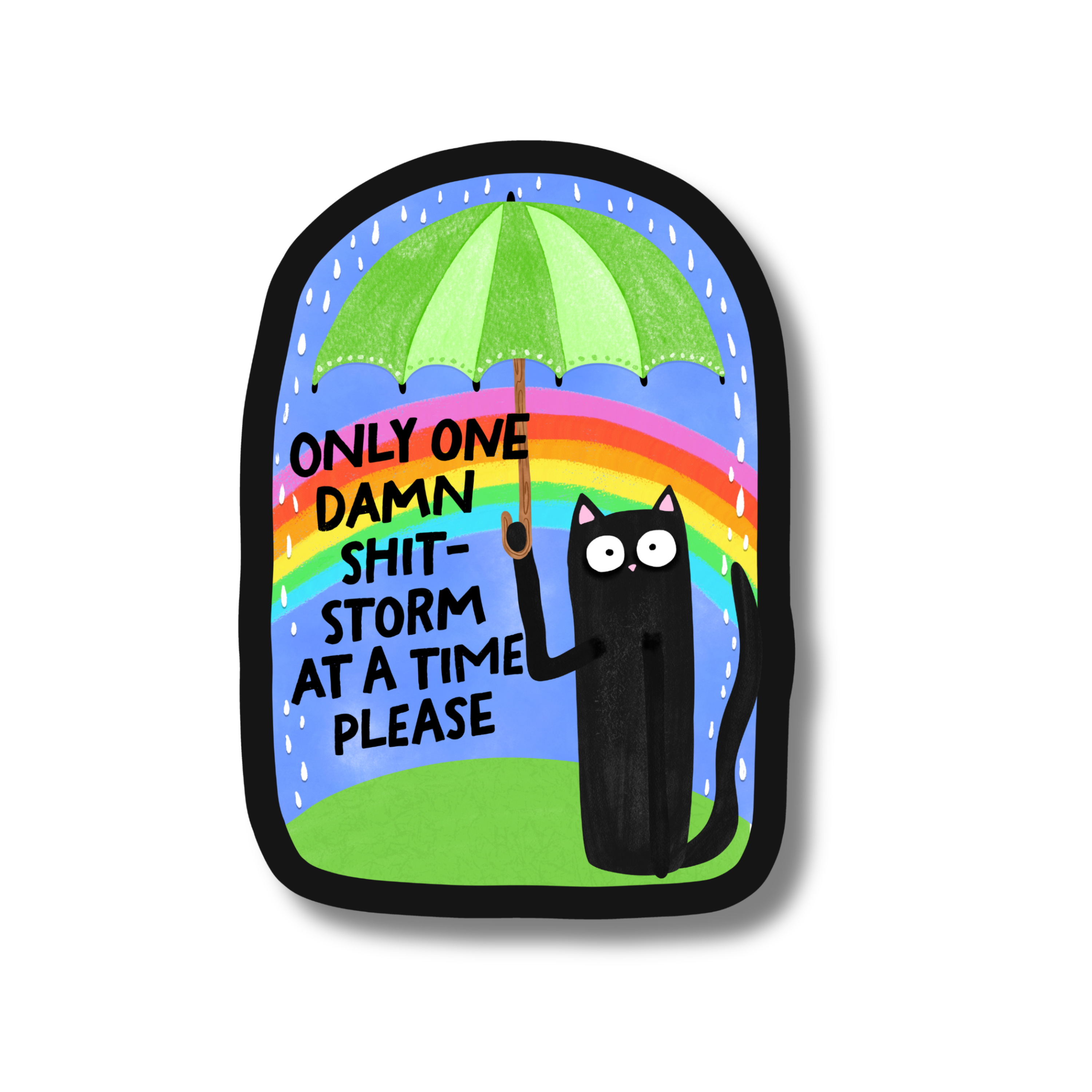 PartyHappier - Wholesale Sticker - Only One Damn Shit Storm At A Time Please Vinyl Sticker1