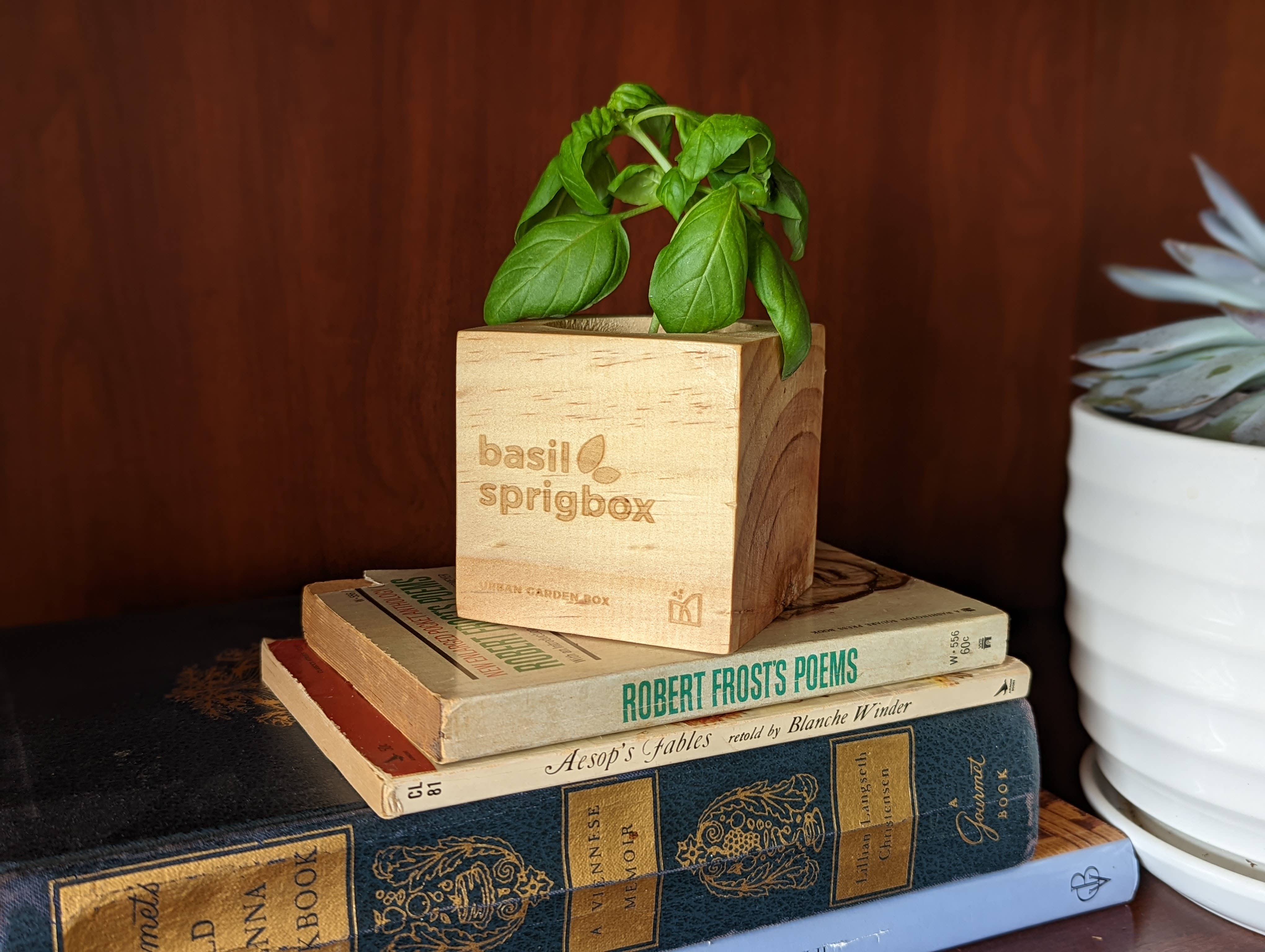 Sprigbox - Wholesale Plant Seeds - Basil Grow Kit | Wooden Planter Box | Herb Gardening1