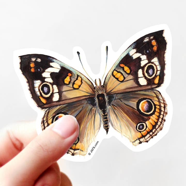 Butterfly 15 Vinyl Sticker (Buckeye Butterfly) for wholesale by J6R6