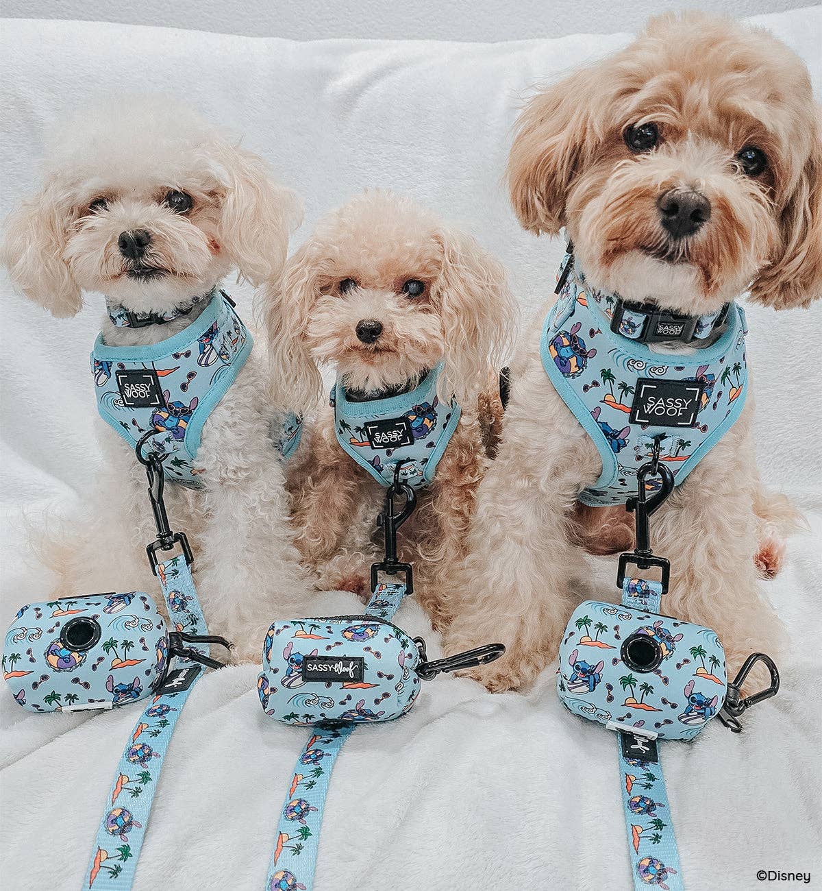 SASSY WOOF - Wholesale Pet Harness - Dog - Dog Adjustable Harness - Disney's Stitch10