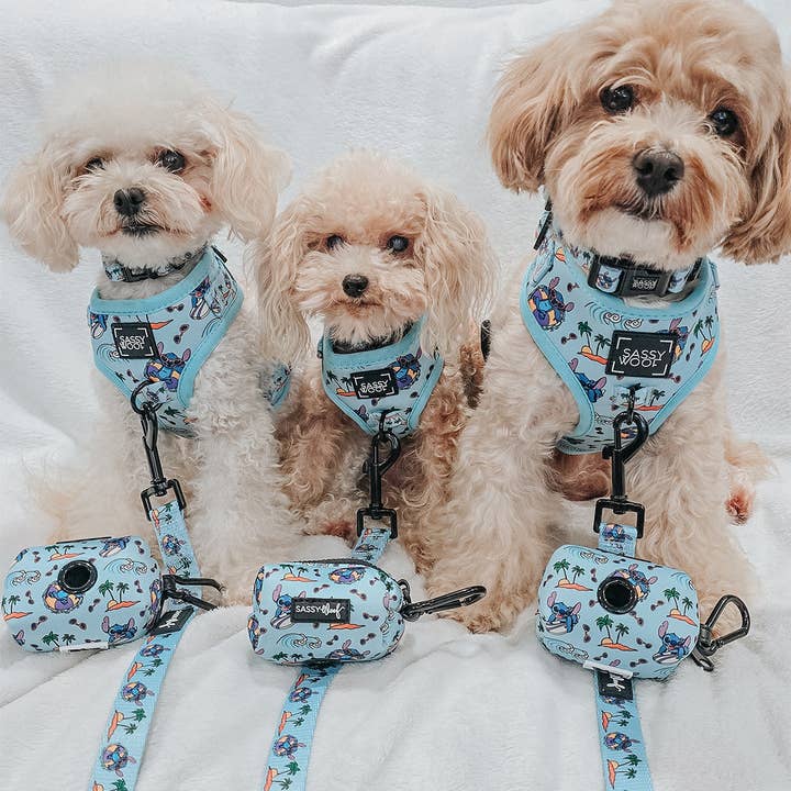 SASSY WOOF - Wholesale Pet Harness - Dog - Dog Adjustable Harness - Disney's Stitch10