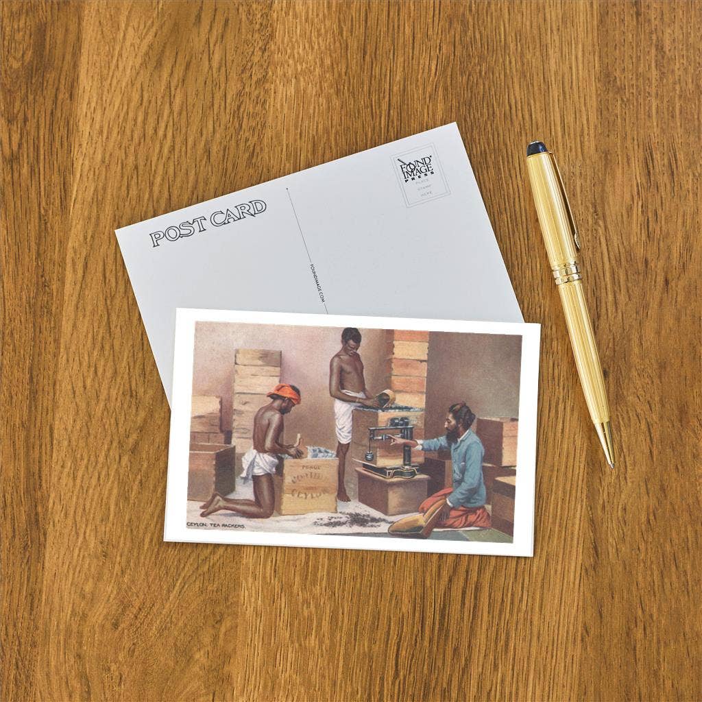 Found Image Press - Wholesale Postcard - Postcard CF-139 Tea Packers, Sri Lanka1