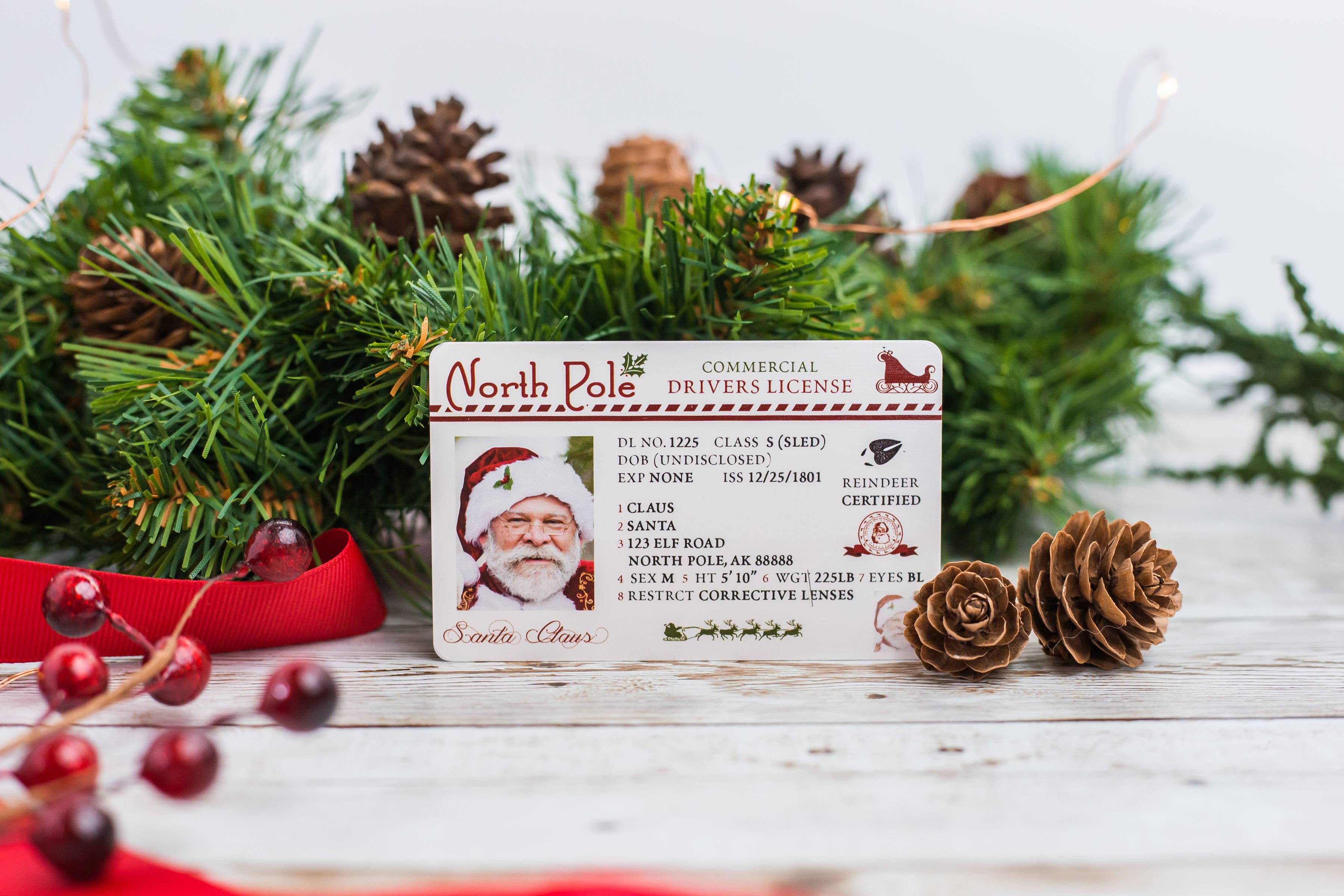 Fuzzy Loon Designs - Wholesale Christmas Decoration - Santa's Lost Driver's License | Christmas Stocking Stuffers4