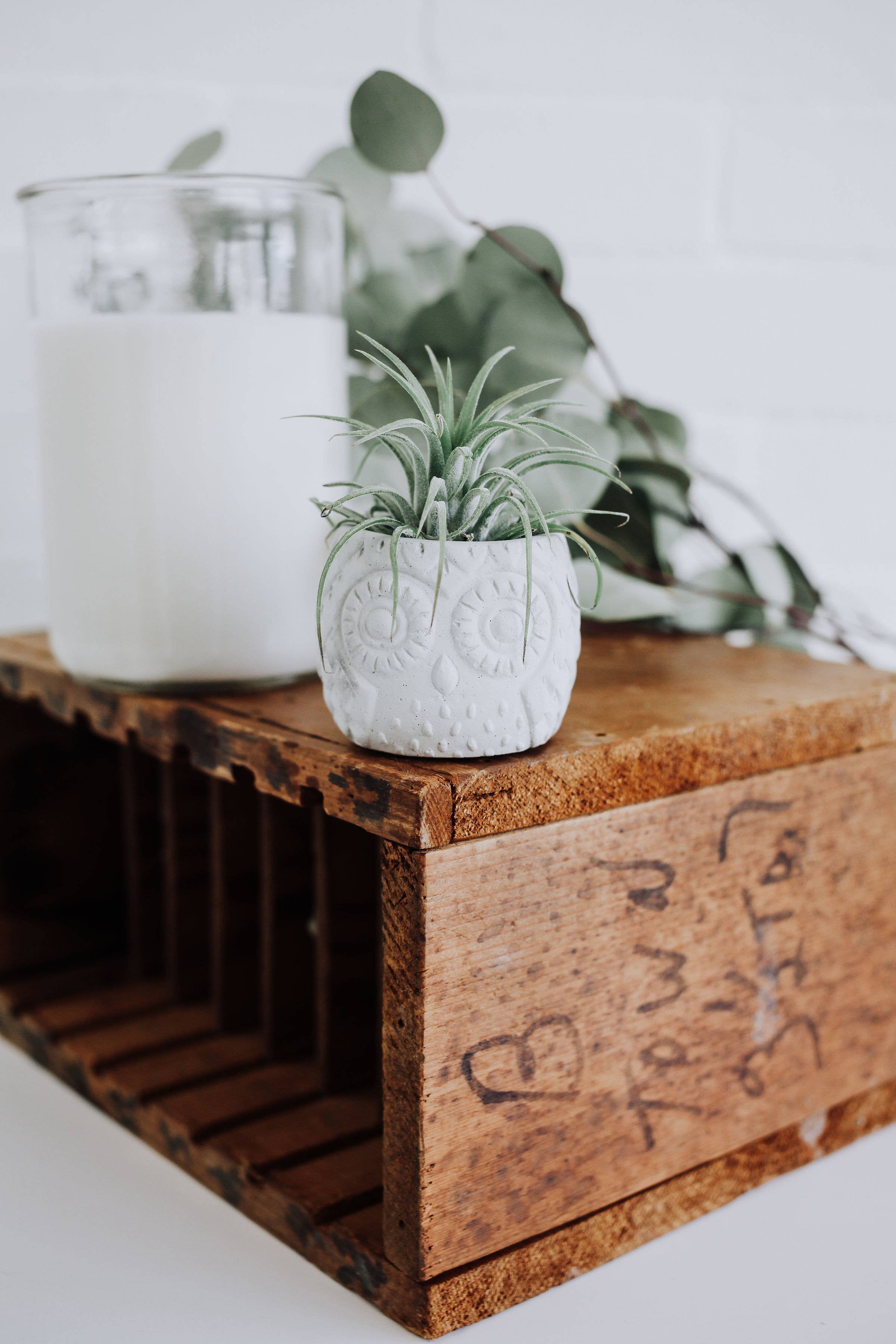 poured + crafted - Wholesale Plant Pot - Concrete Owl Planter3