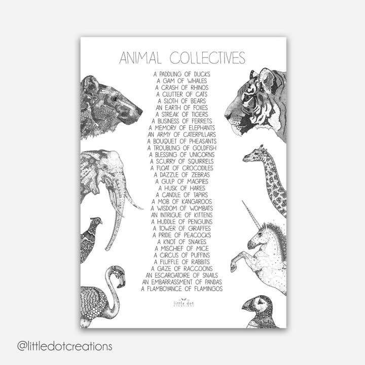 A3 Print - Dyrekollektiver for engroshandel hos Little Dot Creations