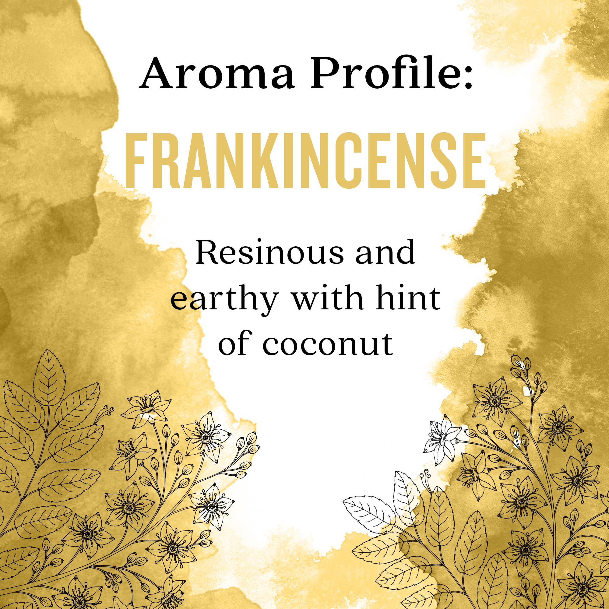 Aura Cacia - Wholesale Essential Oil - Ready To Use Frankincense Essential Oil In Coconut Oil2