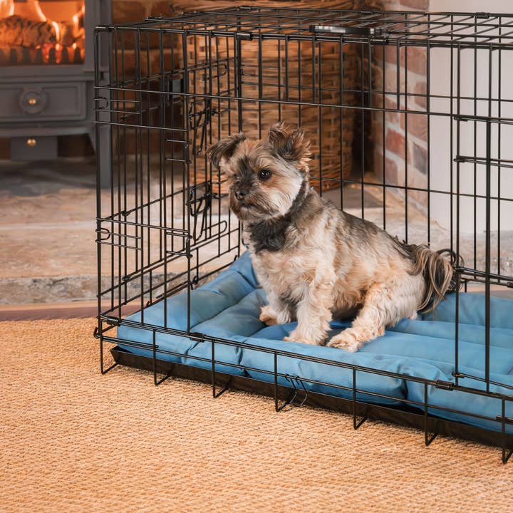 Dog Crate Mat in Ocean for wholesale on Faire3