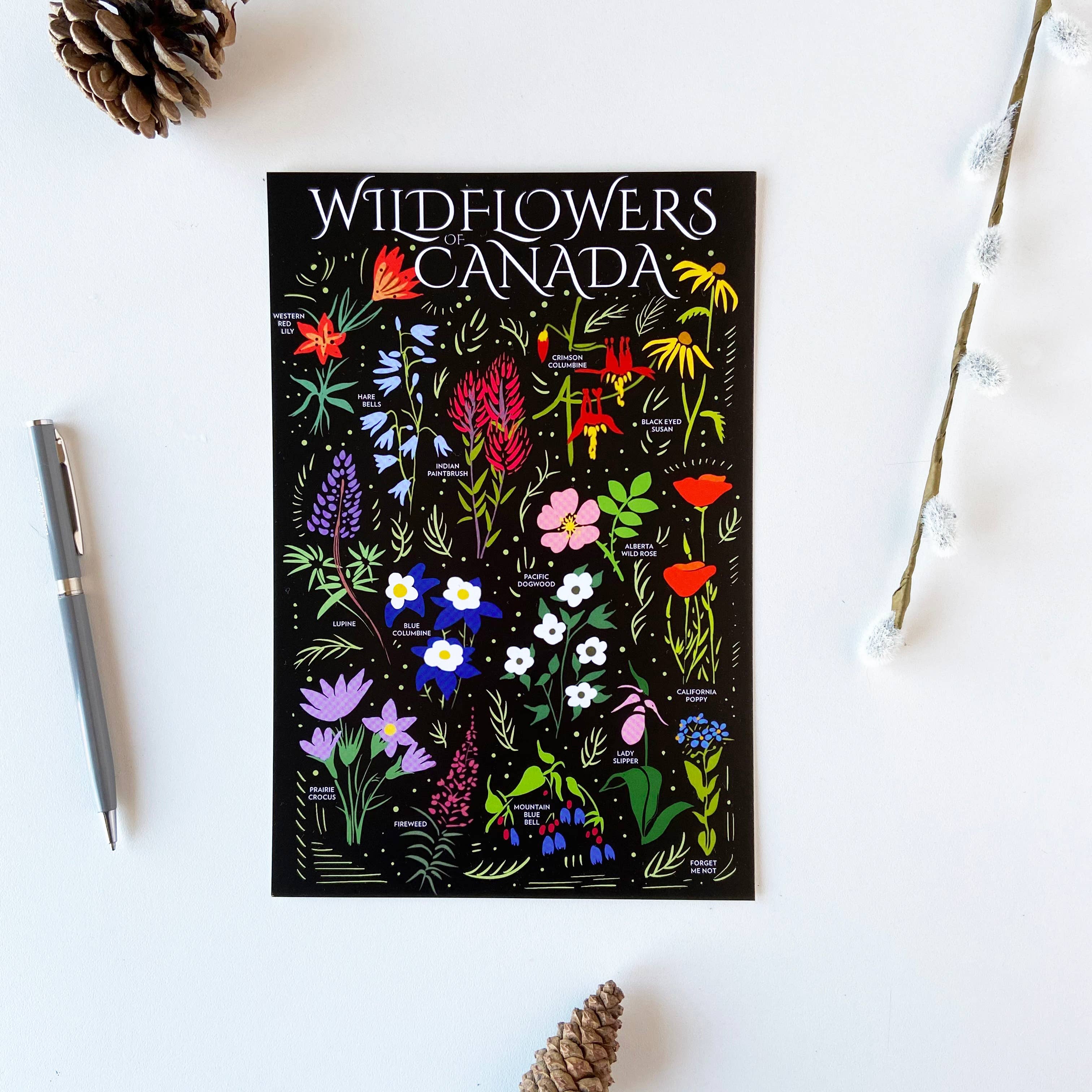 HAVYN - Vente Cartes postales - Fleurs sauvages Canada Carte postale 6x91
