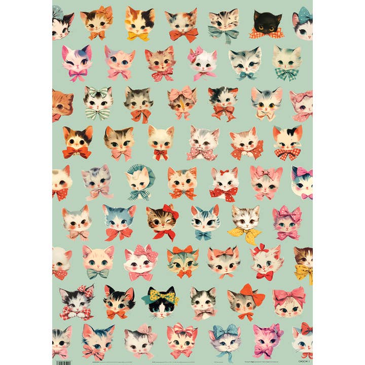 Envoltura de regalo | Caja de chocolates | Gatitos para venta al por mayor de Hype Associates Ltd