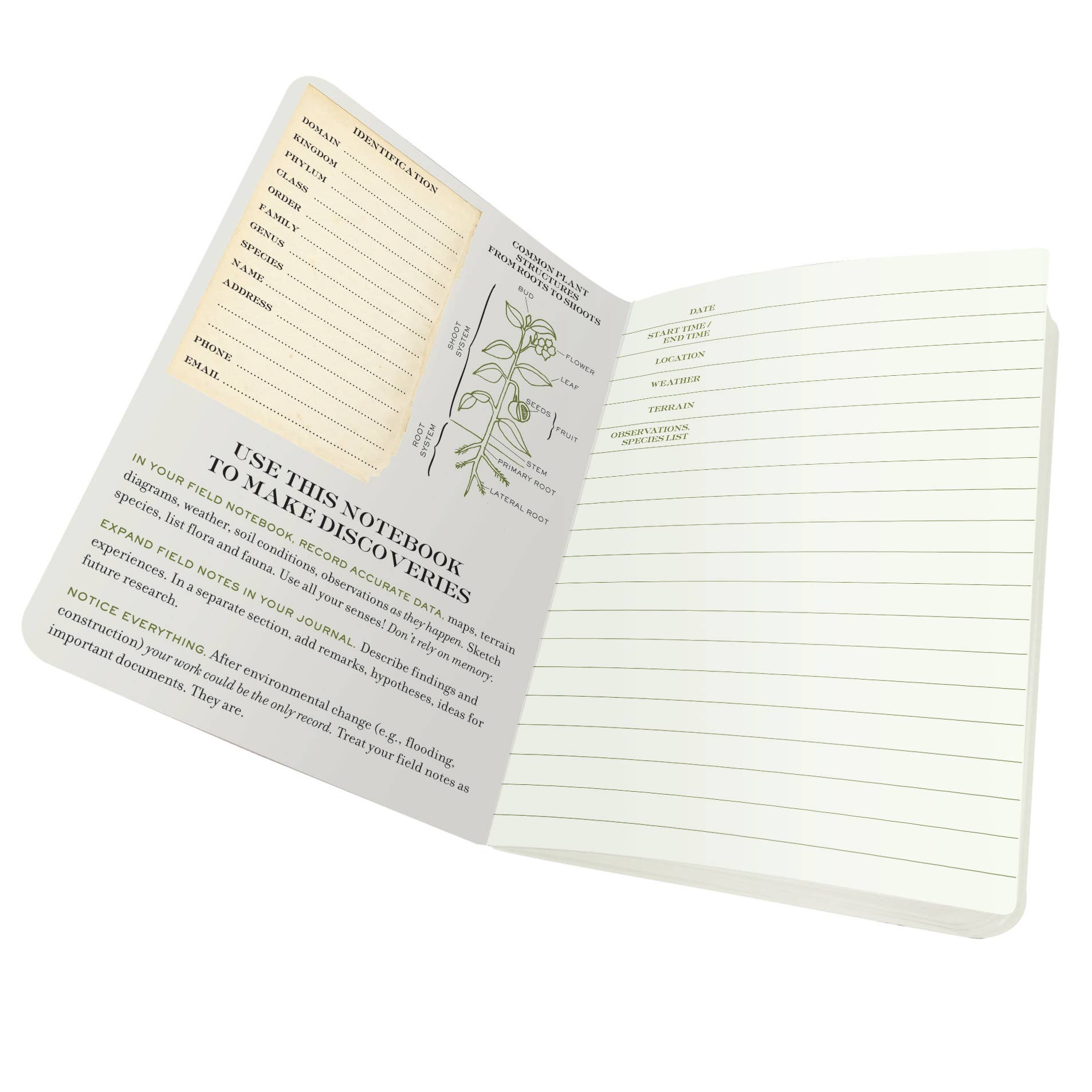 Unemployed Philosophers Guild - Wholesale Notebook - Botany Naturalist's Notebook1