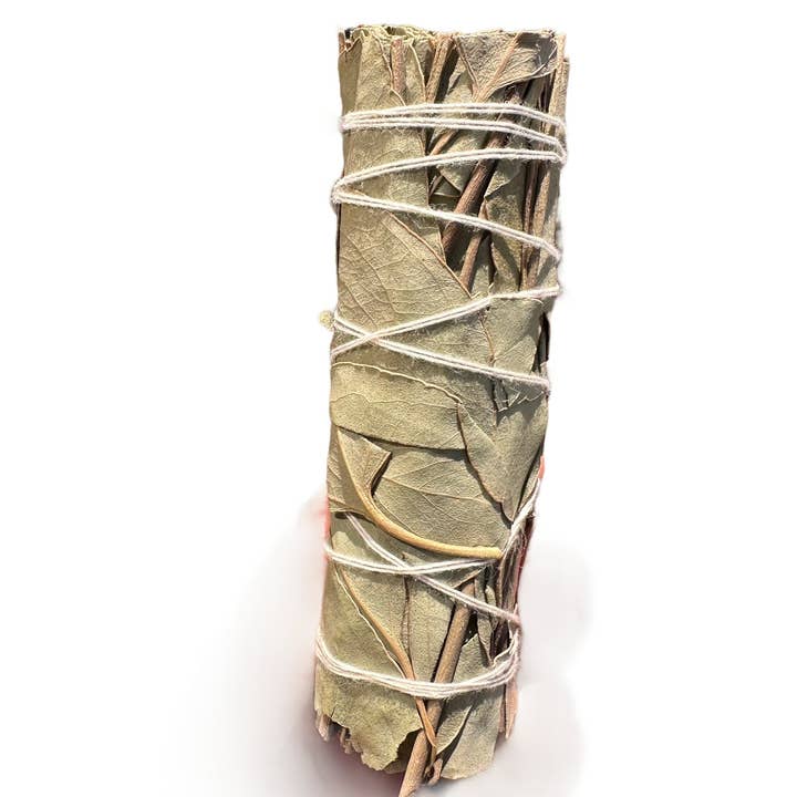 New Moon Beginnings - Wholesale Incense - Eucalyptus Cleansing Stick - Natural Eucalyptus Incense 3" - 4" Stick - Smoke Cleansing Bundle - Dried Eucalyptus Bundle Energy Cleansing - Herb Wand5