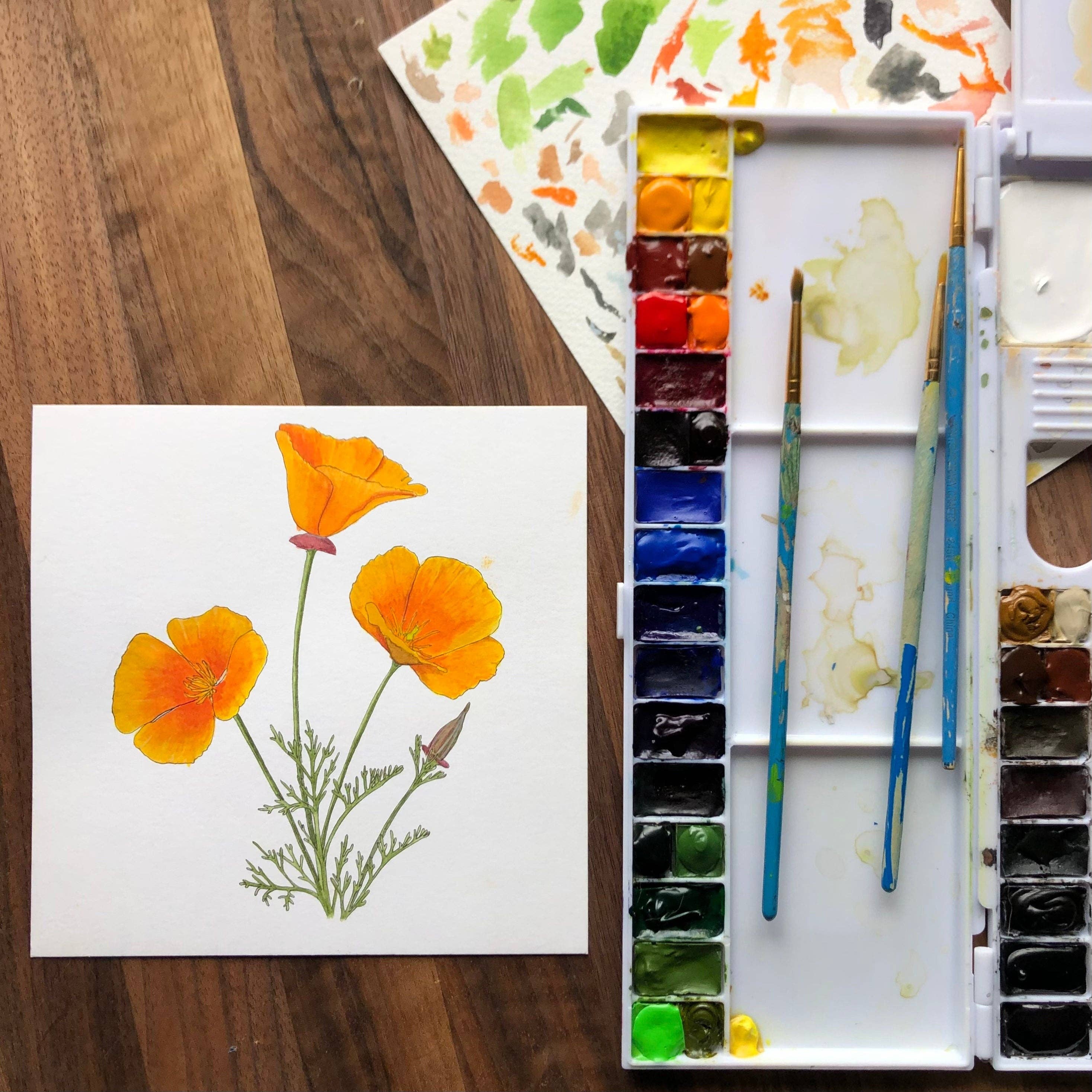 YubaCat Designs - Wholesale Sticker - California Poppy sticker3