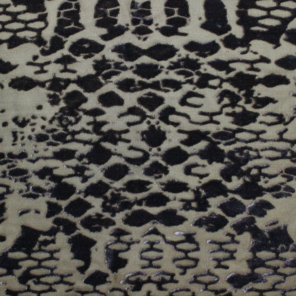 Dana Herbert – Großhandel Schultertuch – Damen – Burnout-Samt-Schal2