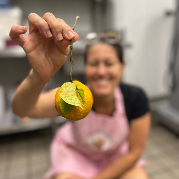 Aloha Bites - Wholesale Jam/Jelly - Seasonal - KualoaGrown Surinam Cherry and Wild Citrus Jelly2