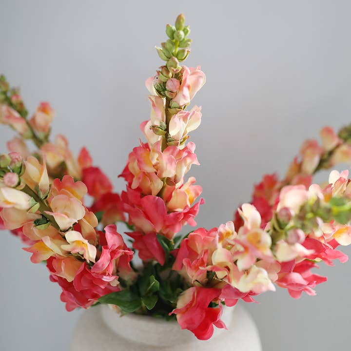 Prestige Botanicals - Vendita all'ingrosso Fiori finti - Bocca di Leone Corallo Real Touch 23”5