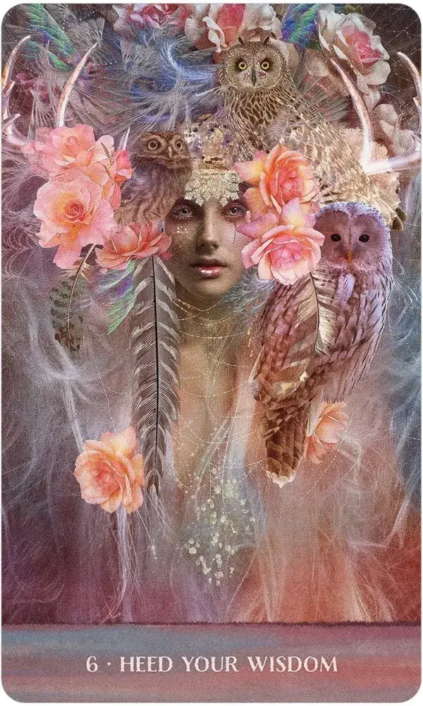 U.S. Games Systems Inc. - Wholesale Tarot Cards - Wild Woman Rising4