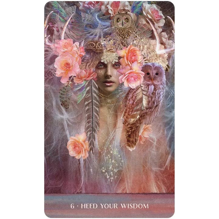 U.S. Games Systems Inc. - Wholesale Tarot Cards - Wild Woman Rising4