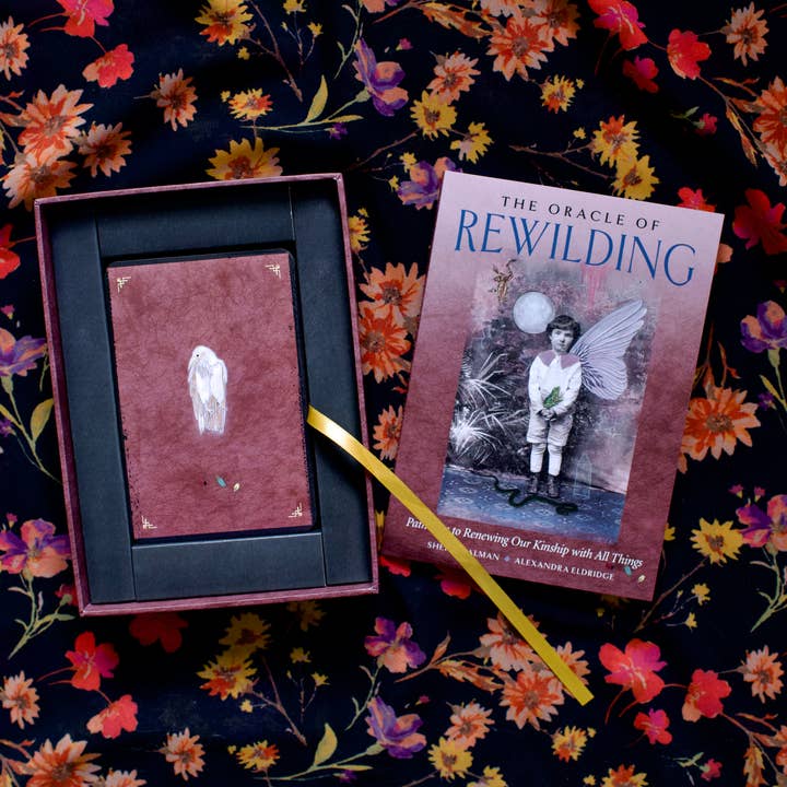 Red Wheel/Weiser LLC - Wholesale Tarot Cards - The Oracle of Rewilding: 44 Cards & 176-Page Guidebook16