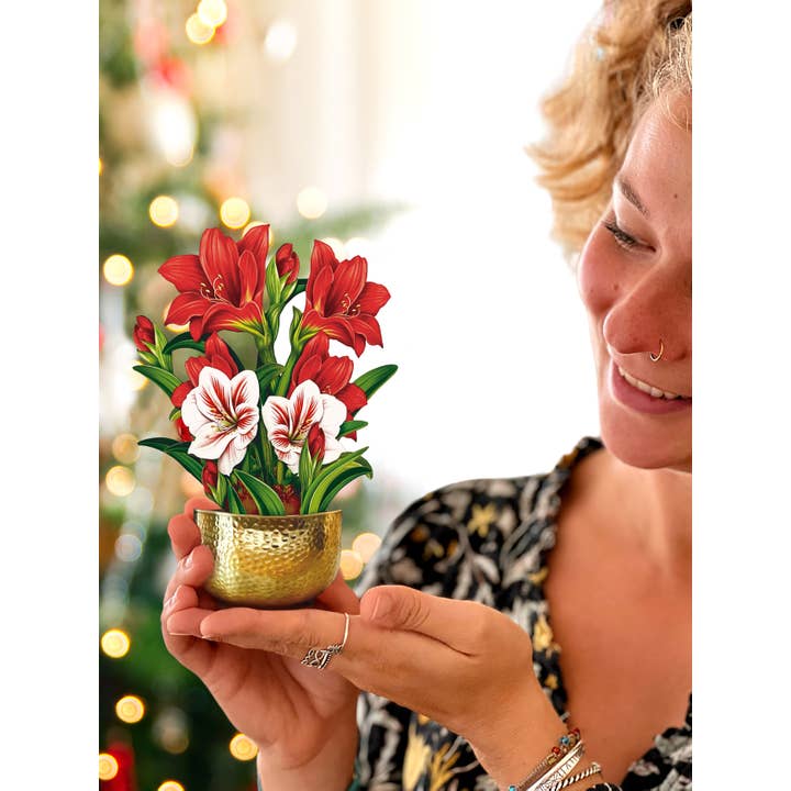 FreshCut Paper LLC - Wholesale Everyday Greeting Card - Mini Scarlett Amaryllis (10 Pop-up Greeting Cards)