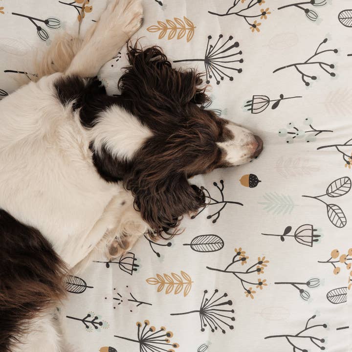 SG HOGAR – cama - Gato e cão por atacado – Cama acolchoada vermelha Santorini para cães e gatos, resistente a manchas2