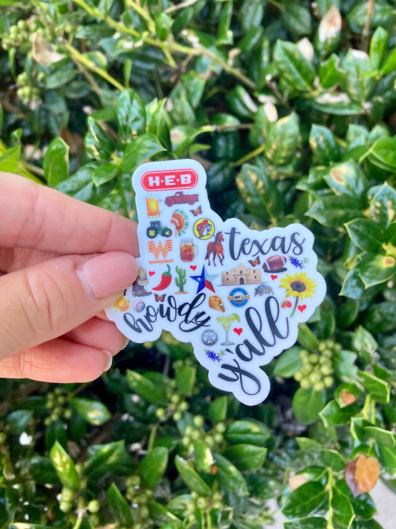 Southern Bell Market - Wholesale Sticker - Texas Symbolen Sticker