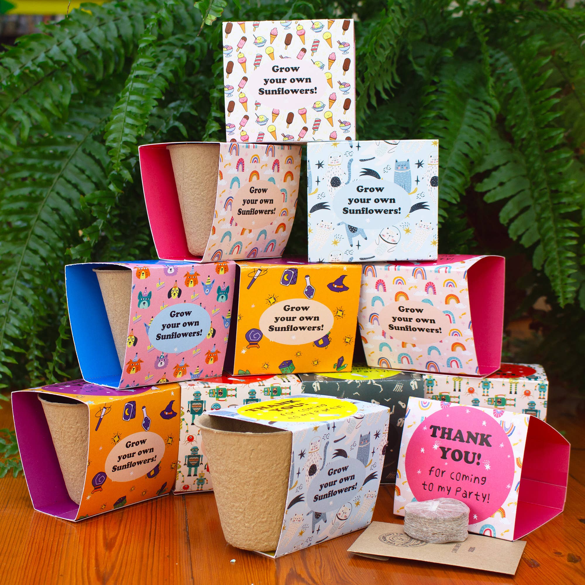 The Plant Gift Co. – wholesale Plant seeds – packs of 6. Thank you for coming to my party! Sunflowers.7