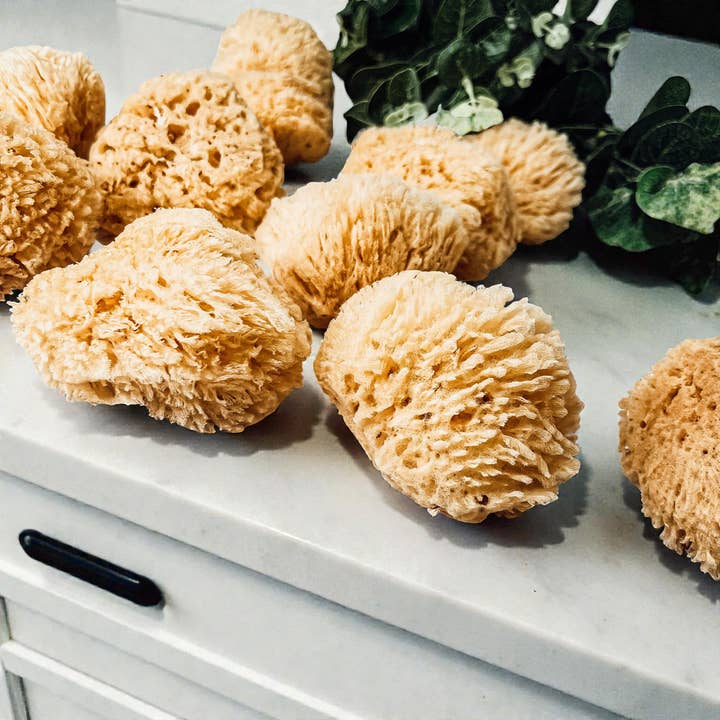 Gia Roma - Wholesale Bath Pouf/Sponge - Dead Sea Sponge, All Natural Body Wash Loofah 4-5"2