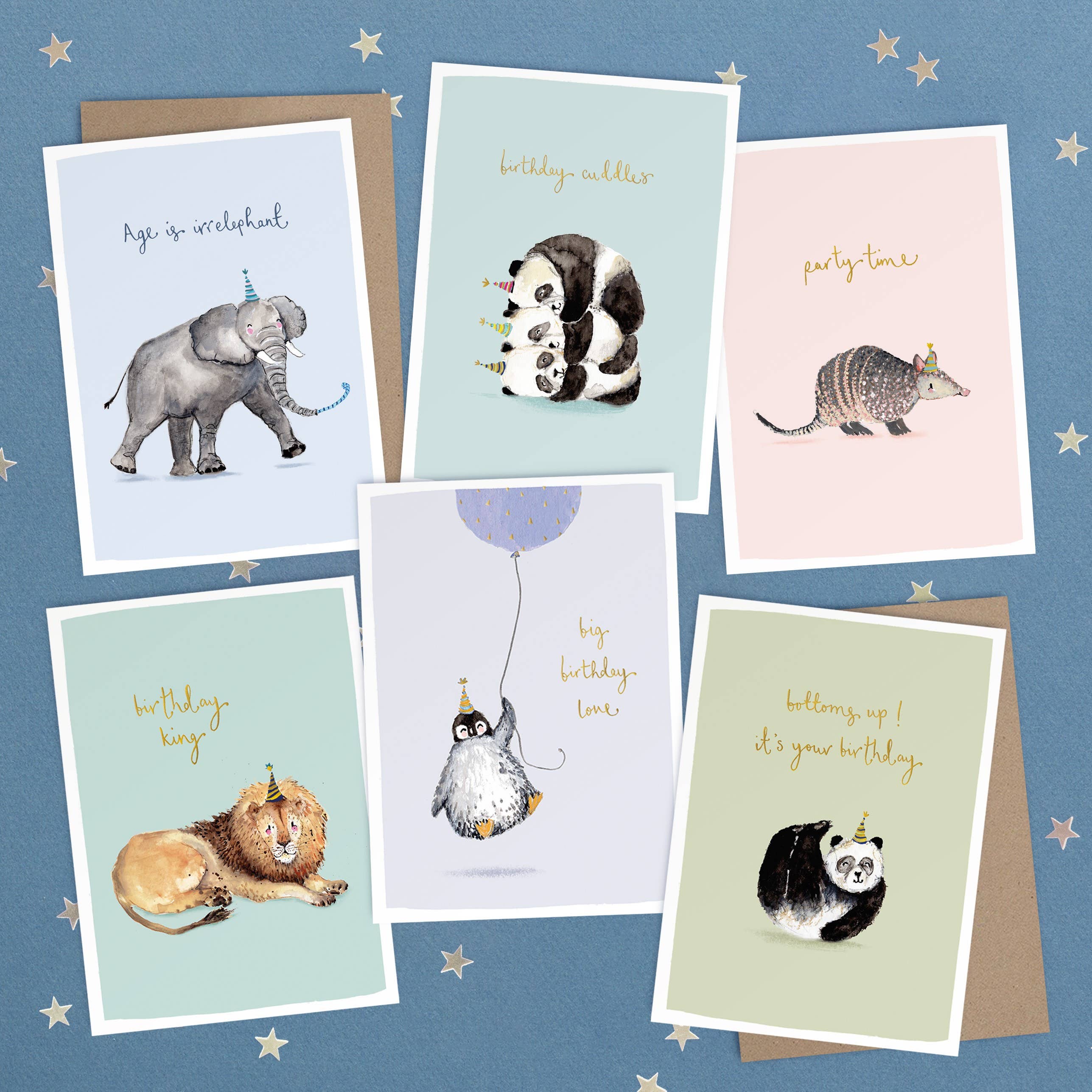 Biely & Shoaf - Venta al por mayor Expositor - Papelería y detalles - Expositor Louise Mulgrew para tarjetas de felicitación con 48 bolsillos9