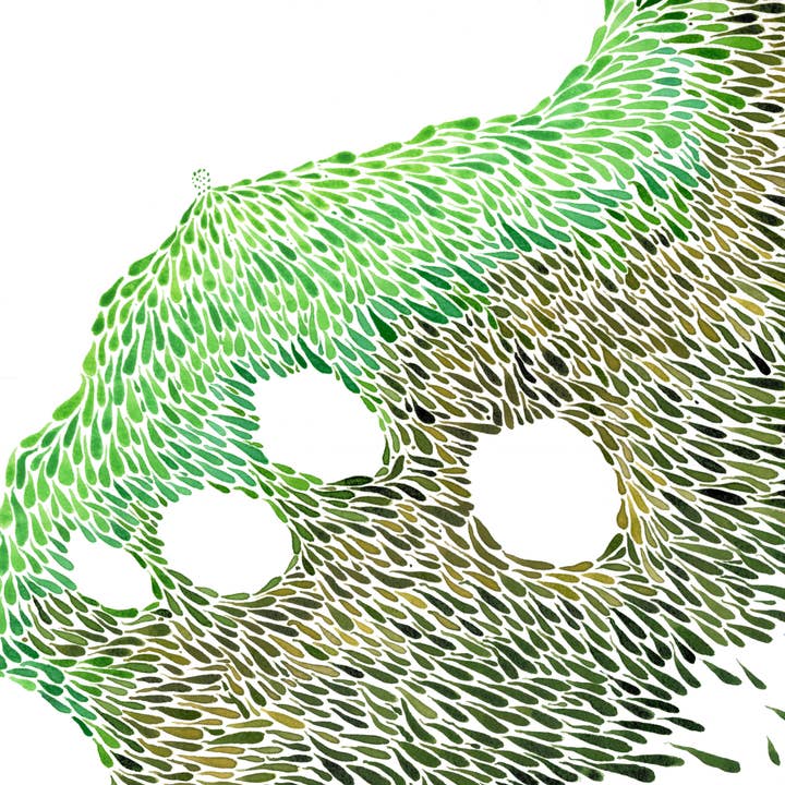 Elephant Shoe Studio - Wholesale Stationery/Notecard Set - Fine Art Note Cards3