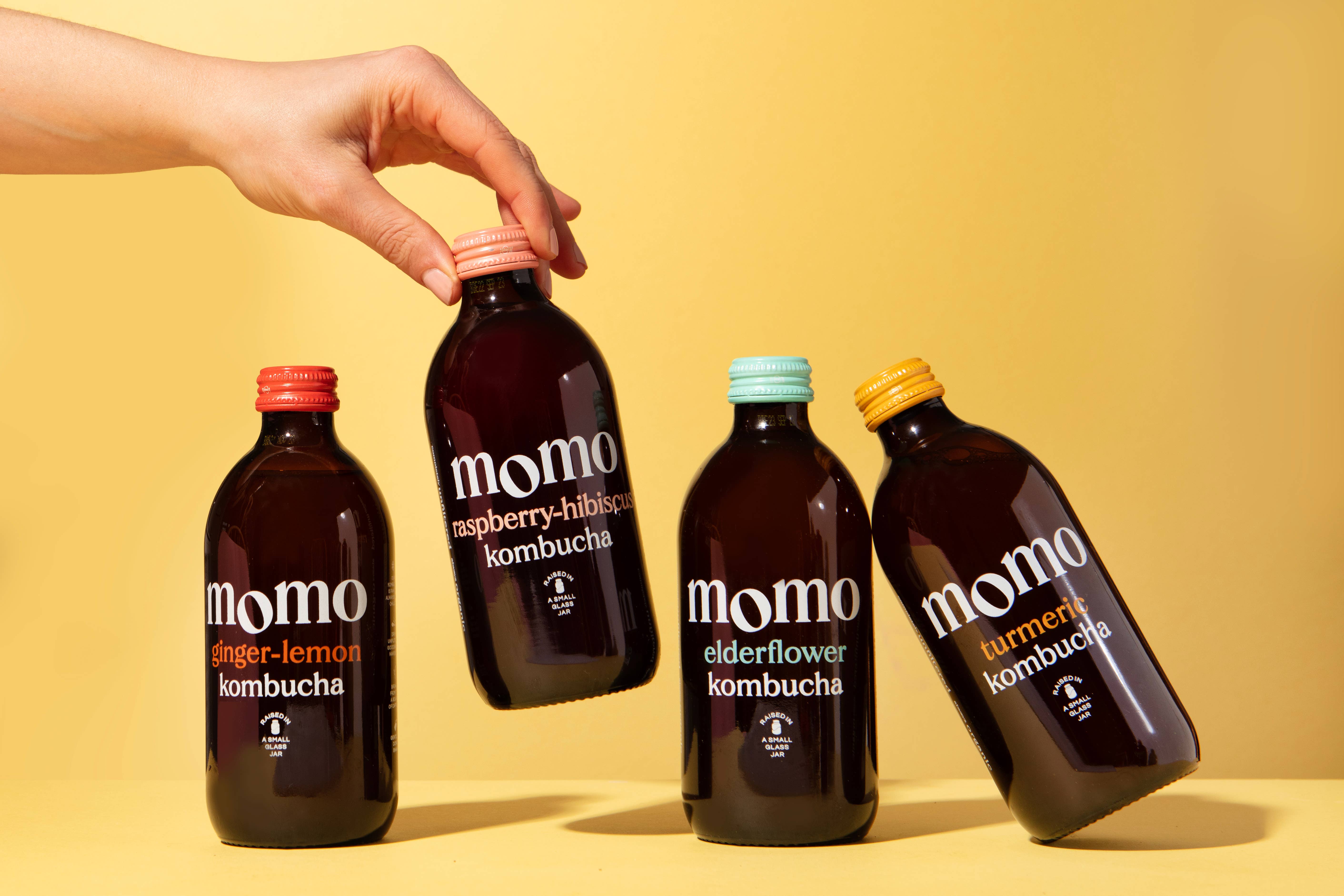 Momo Kombucha – wholesale Kombucha – Organic Mixed Case Kombucha (12 x 330ml bottles)