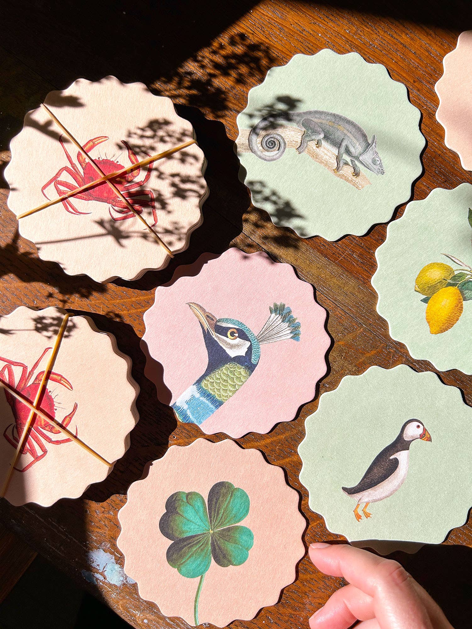 30x40 - Wholesale Coasters - Coaster Set Good Vibes 🍀🐓🐢 UPDATE - New Designs2