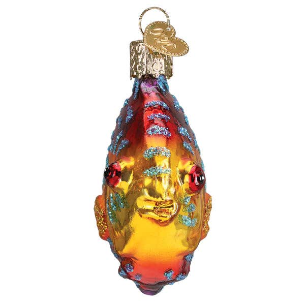 Trendy tree - Wholesale Ribbon - Gift Wrapping - Discus Fish Old World Christmas  126751