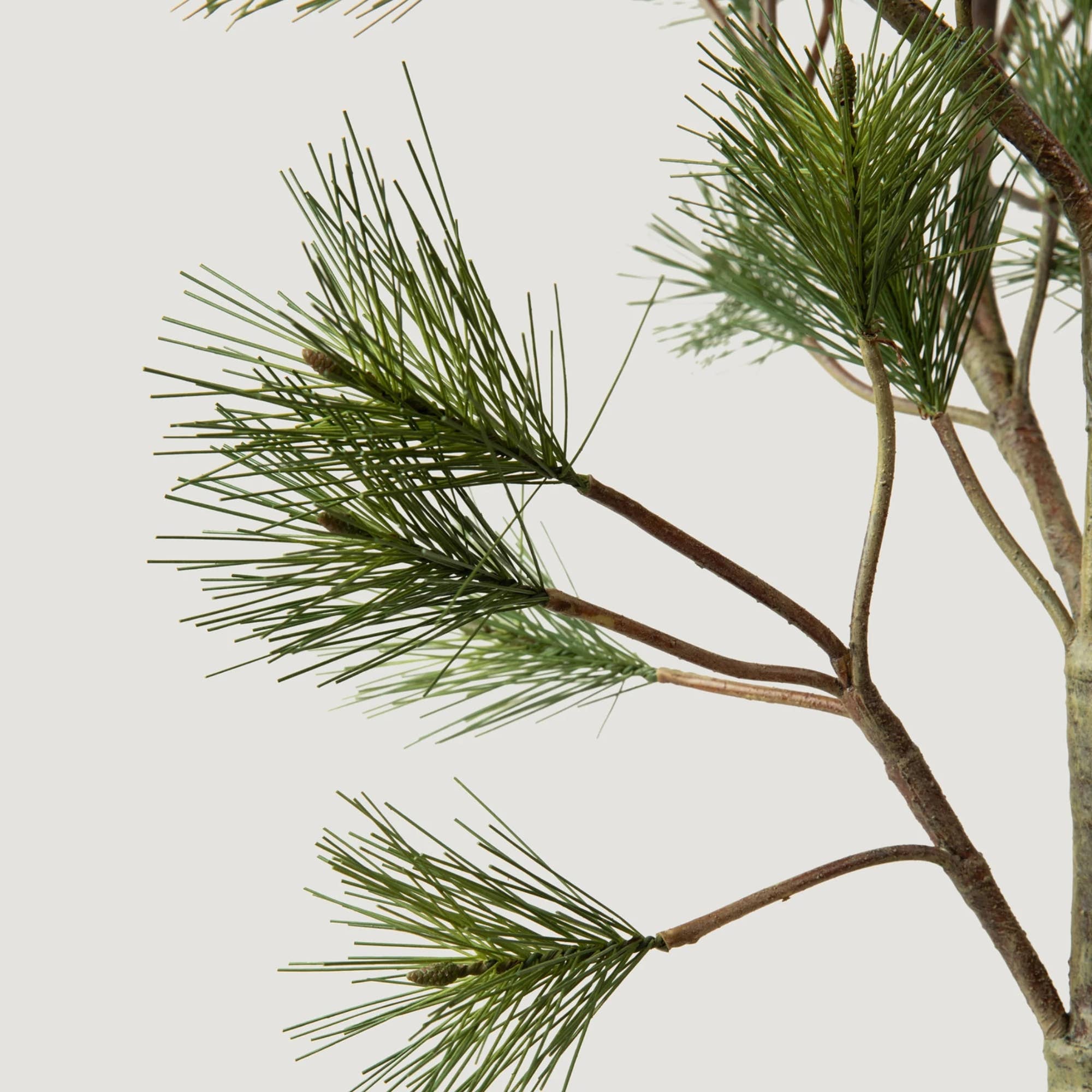 Afloral - Vente Plantes artificielles - Pin sylvestre en pot - 44"1