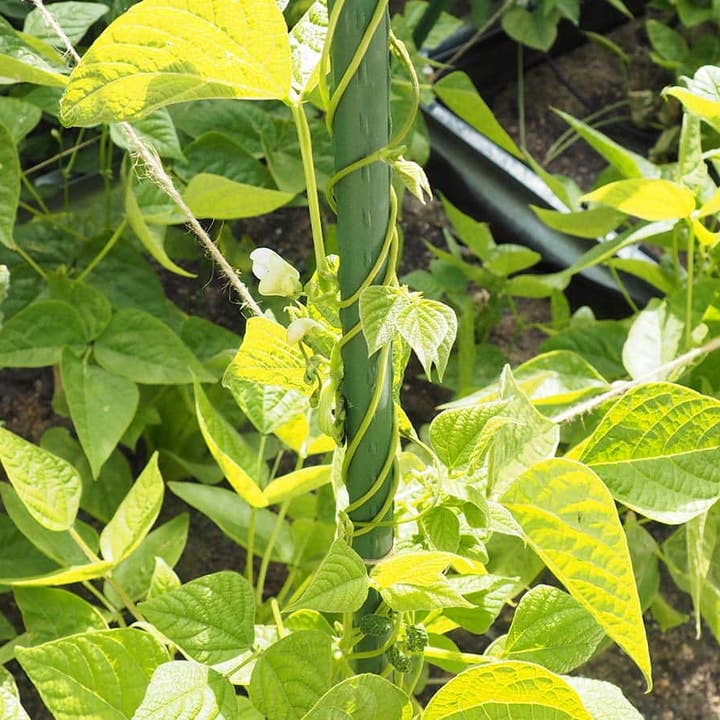 JARDIN Y NATURA OUTDOOR & GARDEN PRODUCTS SL - Wholesale Trellis - 150cm plasticized metal tutor - TUTOFIT 1501