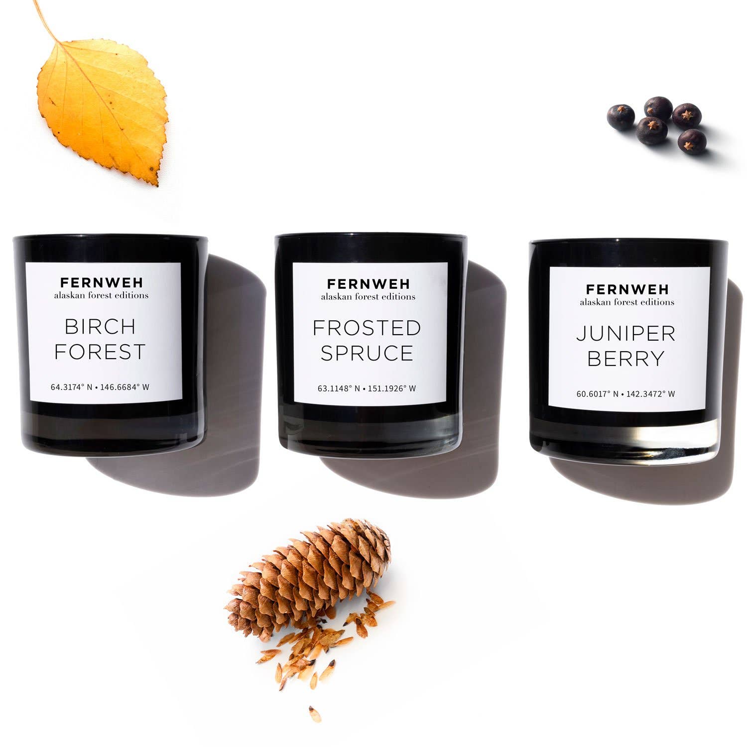 Fernweh Editions - Wholesale Jar/Filled Candle - Birch Forest Scented Soy Luxury Candle - 11oz Glass1
