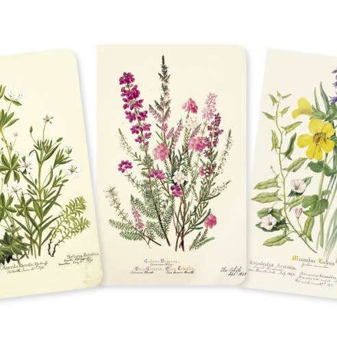Texas Bookman - Wholesale Notebook - Royal Botanic Garden Edinburgh Set of 3 Mini Notebooks