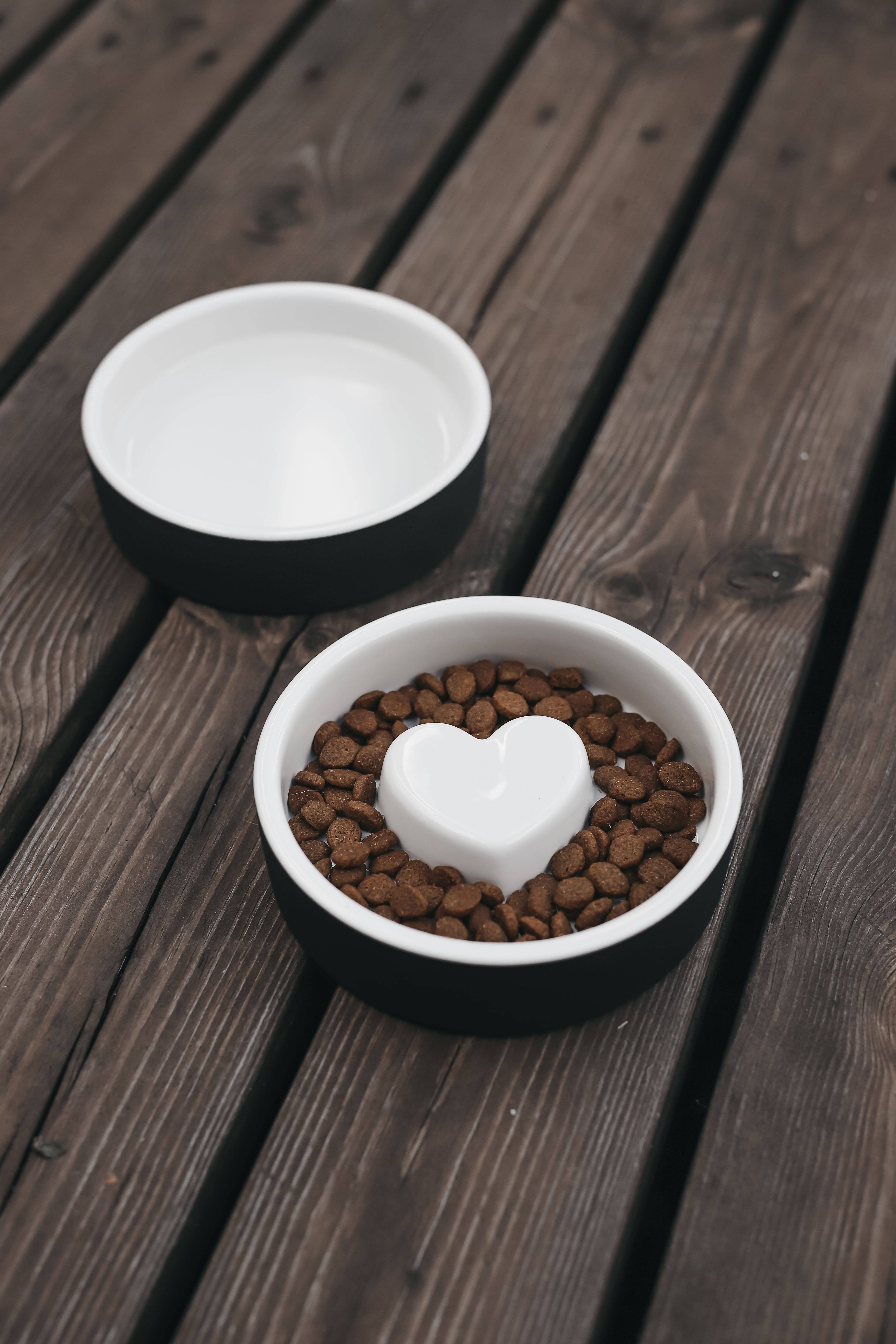 PAIKKA - Wholesale Pet Bowl - Cat/Dog - PAIKKA Naturally Cooling Slow Feed Bowl Black1