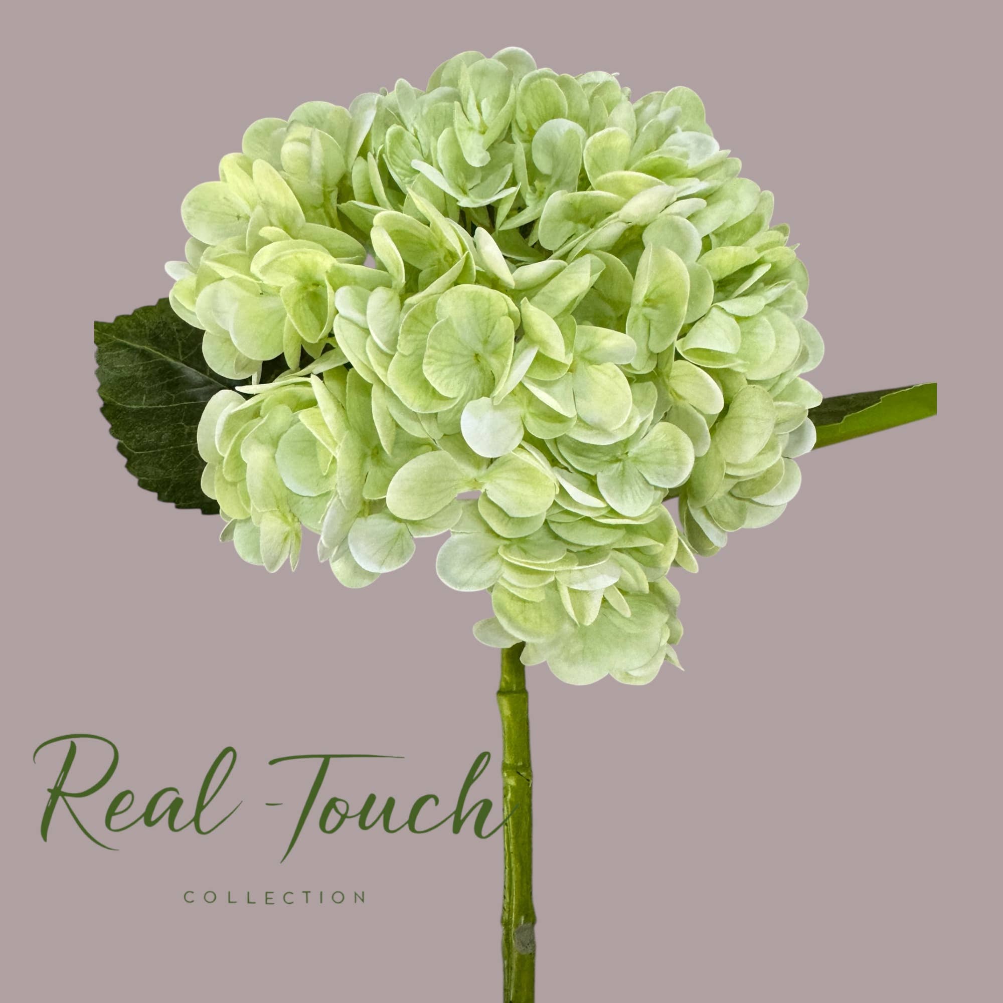 Angel Isabella - Wholesale Kunstbloemen - 22" Grote Realistische Hydrangea met Ultra Real Touch2