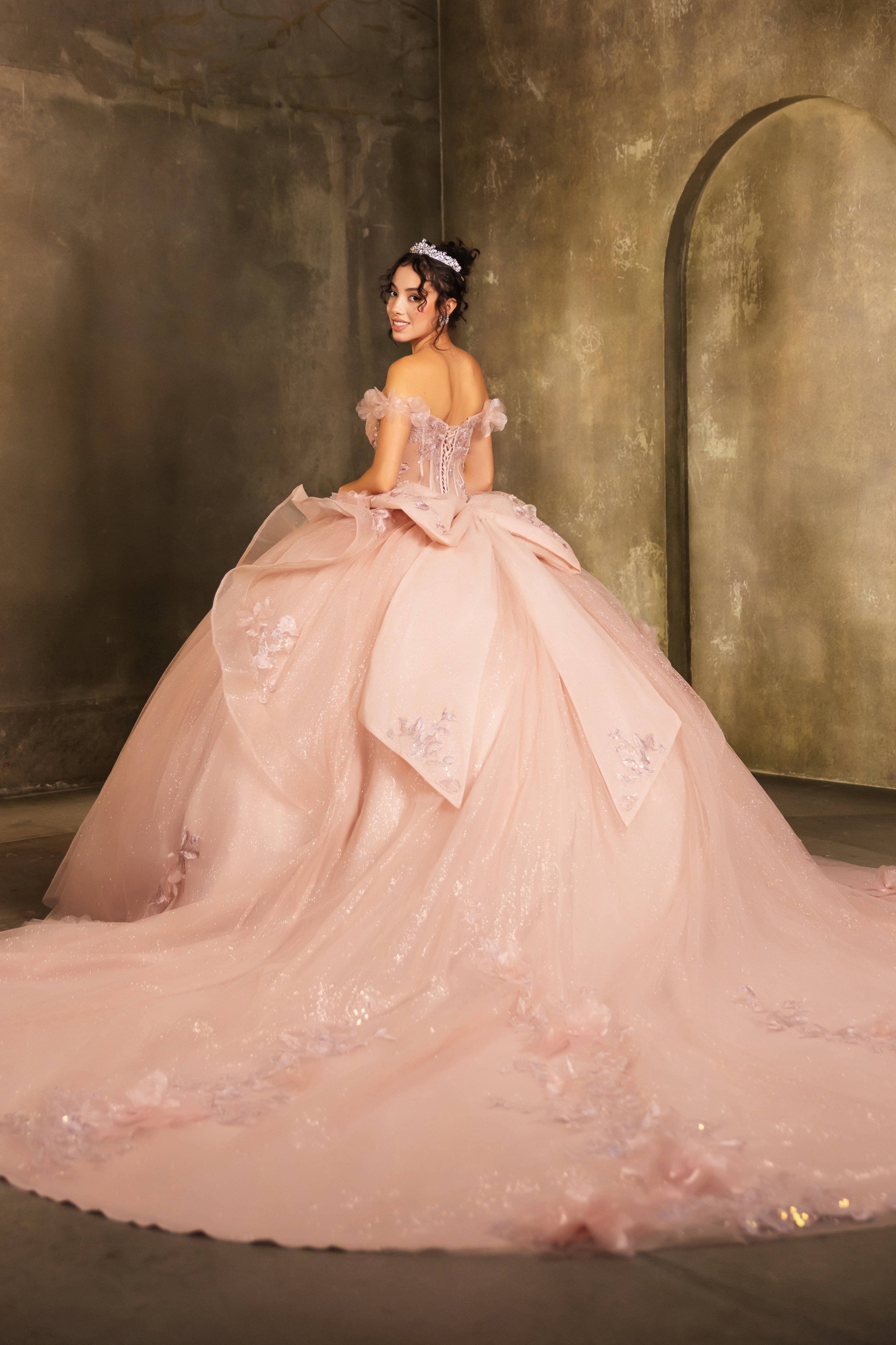 LA Merchandise - Wholesale Gown - Women's - LA270 Off-Shoulder Floral Applique Ball Gown with Glitter4