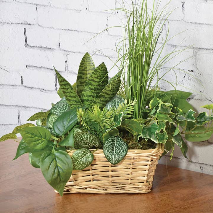 Angel Isabella - Wholesale Artificial Plant - 12"-Artificial Greenery Plants Stems x 7sprays