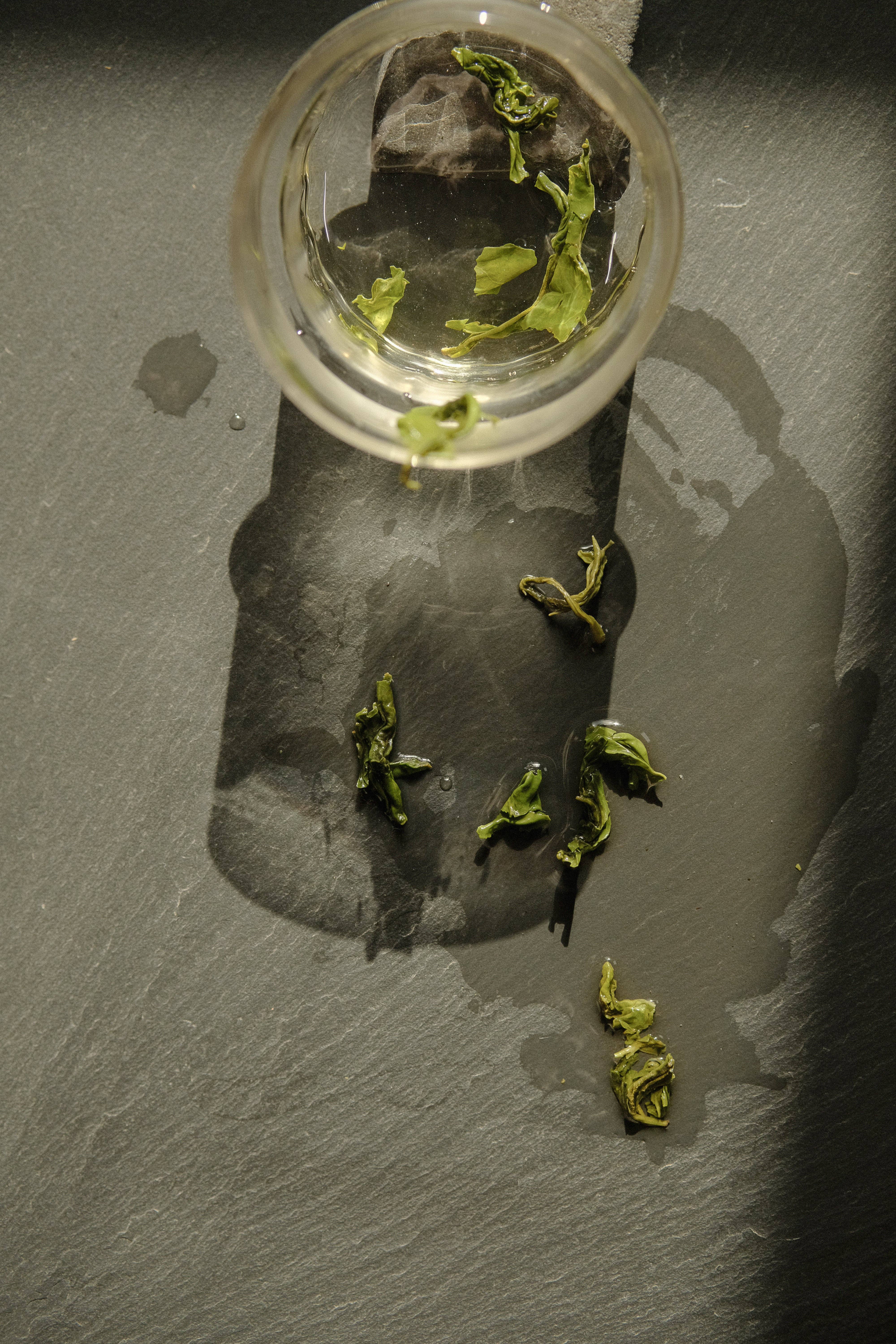 Leaves & Flowers - Wholesale Loose Tea - Jasmine Dew Wholesale4