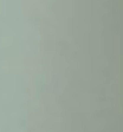 Buffalovely - Wholesale Food Storage Container - Eat Your Leftovers Silicone Bento Box- New Color Choices3