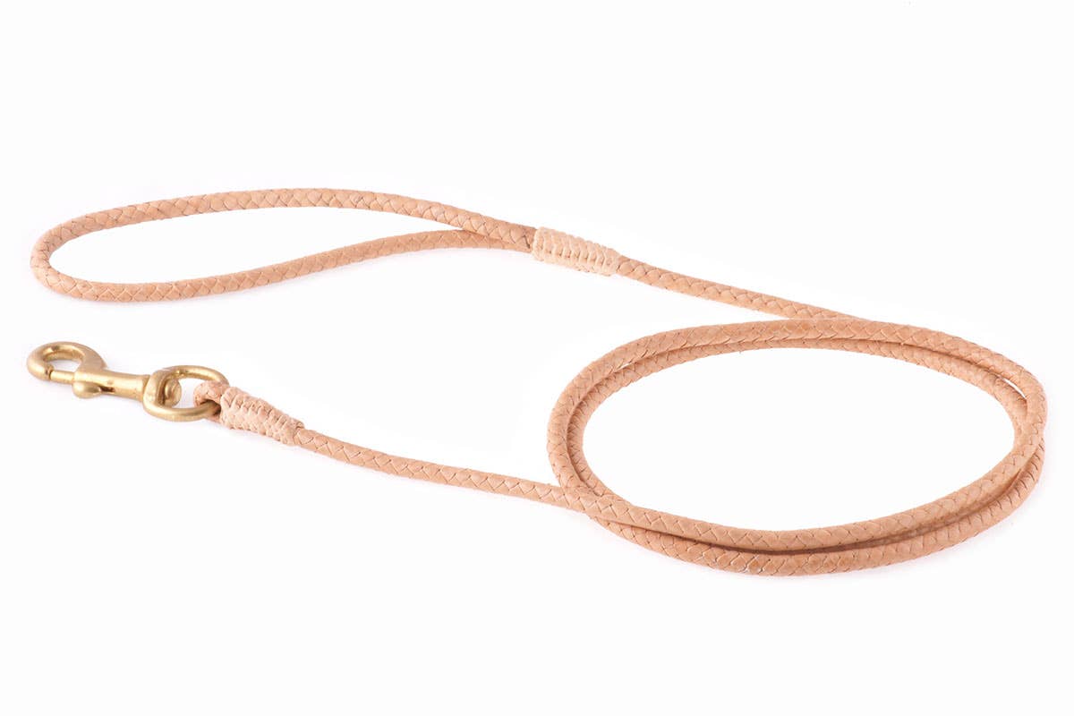 Alvalley - Wholesale Pet Leash - Dog - Braided Leather Snap Leads29