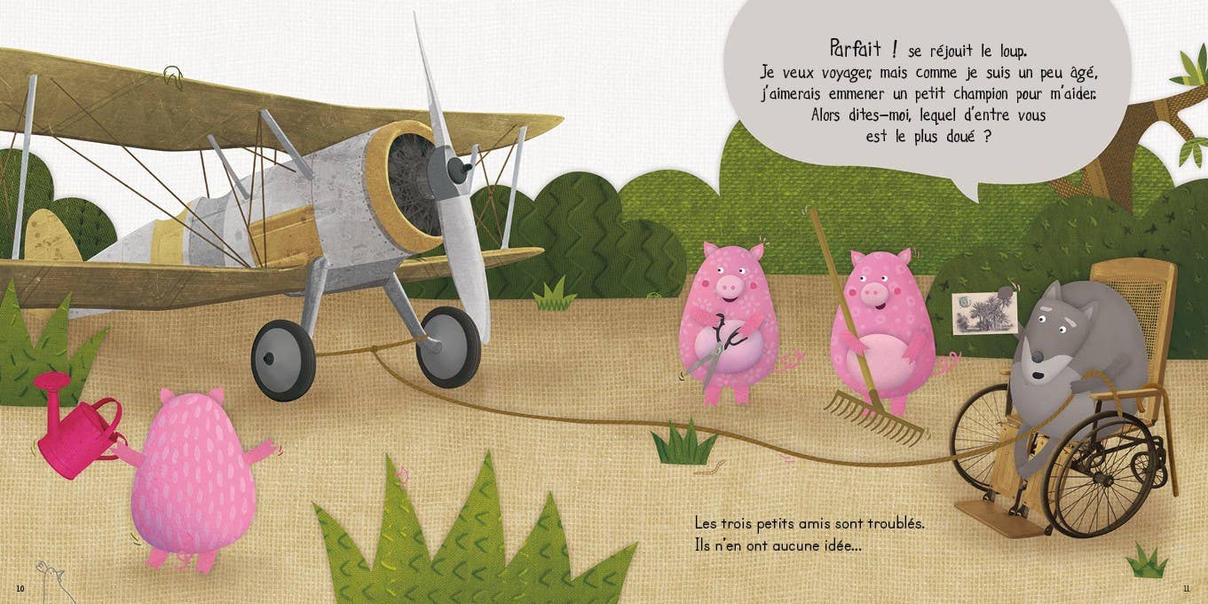 Balivernes éditions - Wholesale Preschool Book (3-5) - The three little champions2