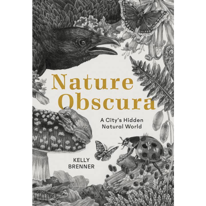 Nature Obscura: Die versteckte Naturwelt einer Stadt für den Großhandel von Mountaineers Books