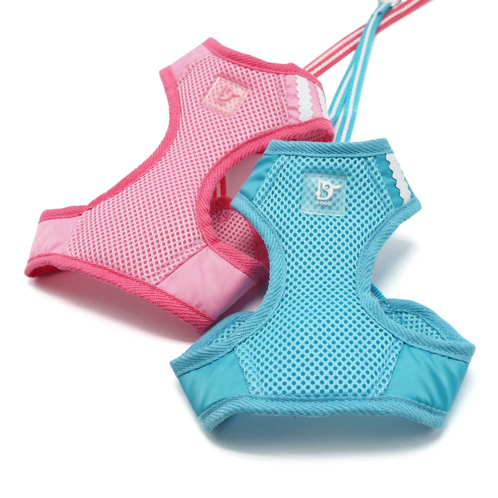 Dogo Pet - Vente Harnais – chien - Harnais EasyGo Basic4